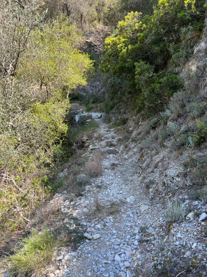 فيلا Mon Reve بريل-سور-رويا المظهر الخارجي الصورة