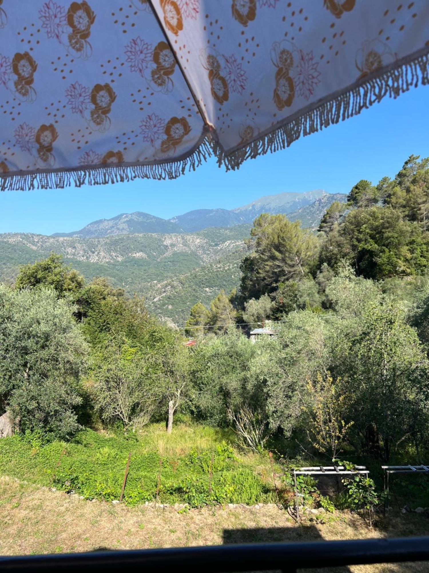 فيلا Mon Reve بريل-سور-رويا المظهر الخارجي الصورة